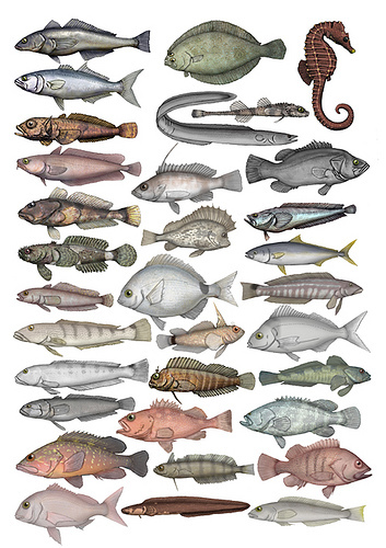 AlanLaceraPadil's profile picture. 