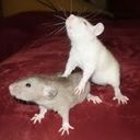 Esther Trott - @EstherTrott - Twitter