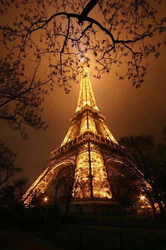 TheEiffelTower2's profile picture. The Eiffel Tower is the best-known landmark in Paris. The tower rises nearly 1,000 feet (300 meters). When it was built in 1889, it was the tallest structure.