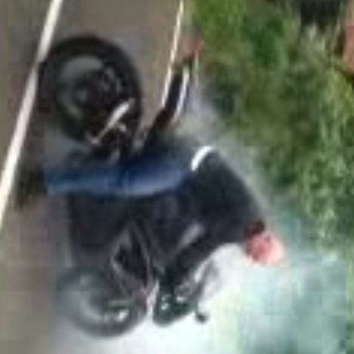 phillips_richie's profile picture. 