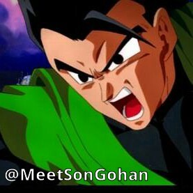 Hey guys! I'm Gohan, son of Goku. I go to Orange Star High School, and I'm also secretly the Great Saiyaman! #TakenBy @MeetVidel #DBZ [RP/Parody]