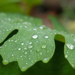 UDaytonSEE's profile picture. Sustainability, Energy, and the Environment Initiative at the University of Dayton