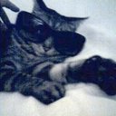 Ginger Ellen Jolly - @GingerJolly1 - Twitter