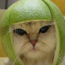 Joe vela - @JohnJRambo75 - Twitter