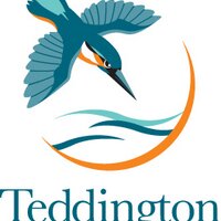 TeddingtonSchPTA(@TeddSchPTA) 's Twitter Profile Photo