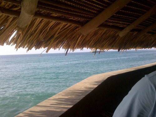 steven_jose2015's profile picture. 