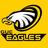 guceagles's profile image