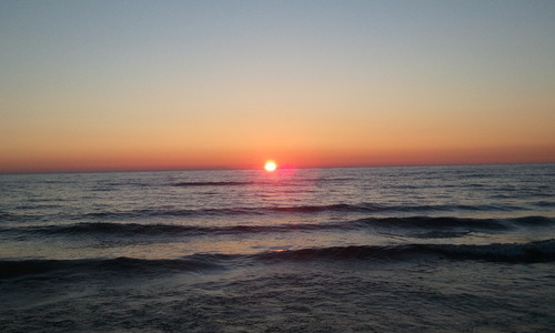 ddebruler1965's profile picture. 