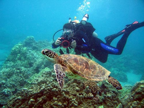 SCUBA nut, under water photographer and Whisky geek / peat freak. Co-Founder of the South Bay Whisky Tribe.