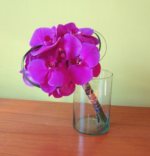 SambistaNajini's profile picture. Sambista who just loves life!