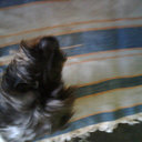 alejandra B (@alexmikelo2) Twitter