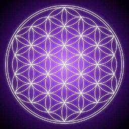 whydivine's profile picture. YOU are a beacon of light in a world of confusion. Tweet w/us about #spirituality & #religion - All faiths are welcome here, respectfully & peacefully.