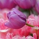 shereen darwish - @sherydarwish - Twitter