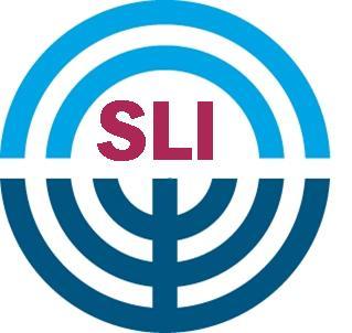 Synagogue Next is a project of the Synagogue Leadership Initiative of the Jewish Federation of Northern New Jersey