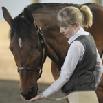 Behavioral scientist & marketing prof @UofL and @UofLEquine. Extracurriculars: Family, food, horses, dressage, clicker training, and small dogs.