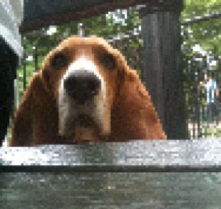 adamdfrey's profile picture. 