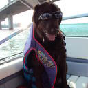 Rose Burnside - @Joliecupcakes - Twitter