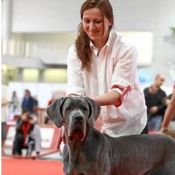 My name is Emilia. (: Dog's and Cat's are my life (: 
I want @cesarmillan follow me back , because i identify a lot with him (:
Have a nice day (;