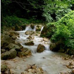 Retwitto posts: news, ambiente, cultura, eventi, costume, società, economia, politica, ecc, di interesse o con citazione @ValledelSele.
Seguo chi mi segue.