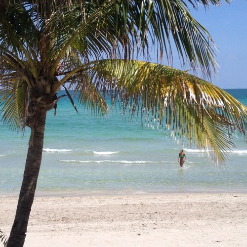 JeffreyISRAEL's profile picture. 