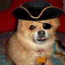 Lori Garland - @LoriGarland5793 - Twitter