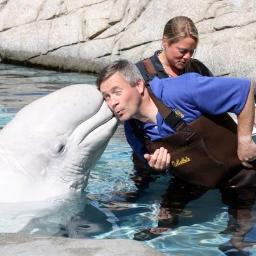 An Emmy Award-winning underwater adventure program hosted by cinematographer and naturalist Jonathan Bird!