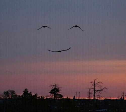 aed_alenezi's profile picture. 