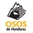 Osos de Honduras