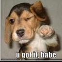 AARON TRAYLOR - @wildskaterkid7 - Twitter