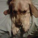 billy craig - @gwc9m - Twitter