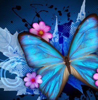 malonso67's profile picture. 