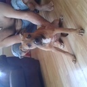 Sheila Ernst - @carter_sheila - Twitter