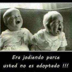 DianaKarol88's profile picture. 