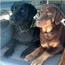 Paul Yost - @tink0072 - Twitter