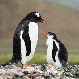 Fxavier099's profile picture. 