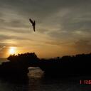 Alex Liew - @LXLIEW - Twitter