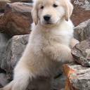 Charlotte Weaver - @charklet - Twitter