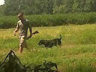 Tyler5905's profile picture. Firefighter/EMT Rocky Mount Station 1