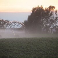 Randy Collins (@rjcollins54) 's Twitter Profile