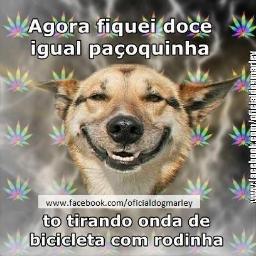 Te Amo Dassa Carvalho