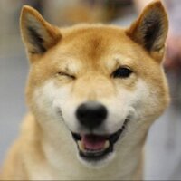 はち🐲 (@hachi2525) 's Twitter Profile