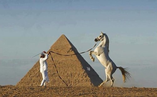 purelife2020's profile picture. 