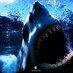 Pete F Shirey (@megalodon360) Twitter profile photo Pete F Shirey (@megalodon360) Twitter profile photo