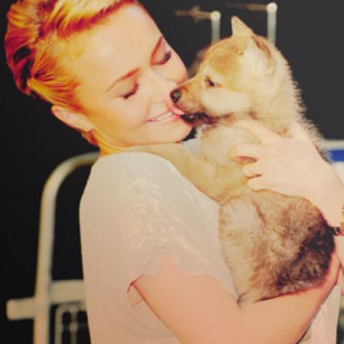 HPanettierFan Profile Picture