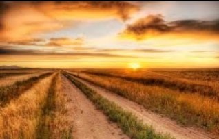 countryy_loverr's profile picture. If you love country anything you should follow this! 
Country Music~ Country Pics~Country Quotes!