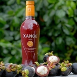 Reset your health with the mangosteen fruit, The Queen of Fruits! Get XanGo now, ask us how. 