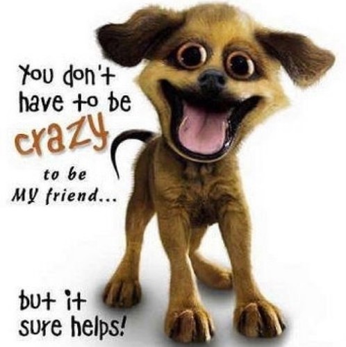 crazyleiby's profile picture. 