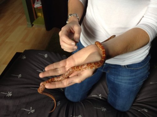 doudounedouble's profile picture. 