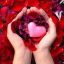 anu jain - @heenajain321 - Twitter