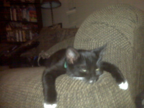 RrazySA's profile picture. 